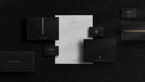 巴西商業(yè)咨詢公司maestrina品牌設計