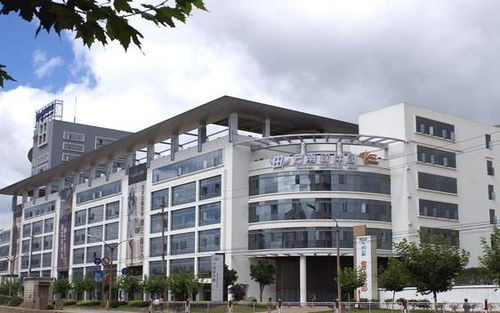 昆明彩之韻商務(wù)信息咨詢 專業(yè)服務(wù)助您商務(wù)騰飛