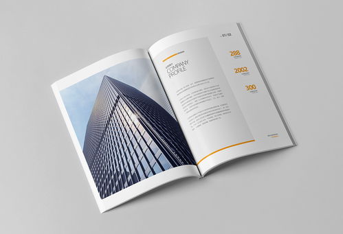簡約大氣，專業信賴 商務咨詢與投資企業公司畫冊