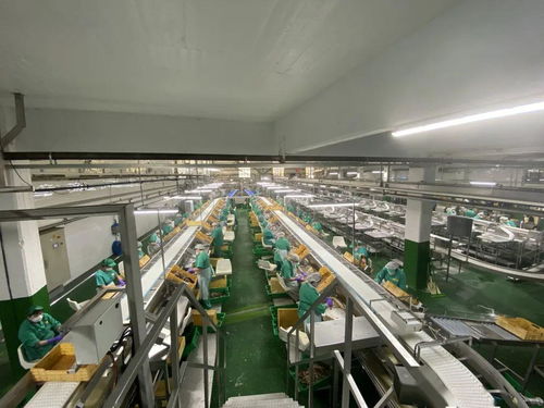 同心戰(zhàn)“疫” 光明食品集團海外疫情防控與穩(wěn)產保供的實踐與啟示